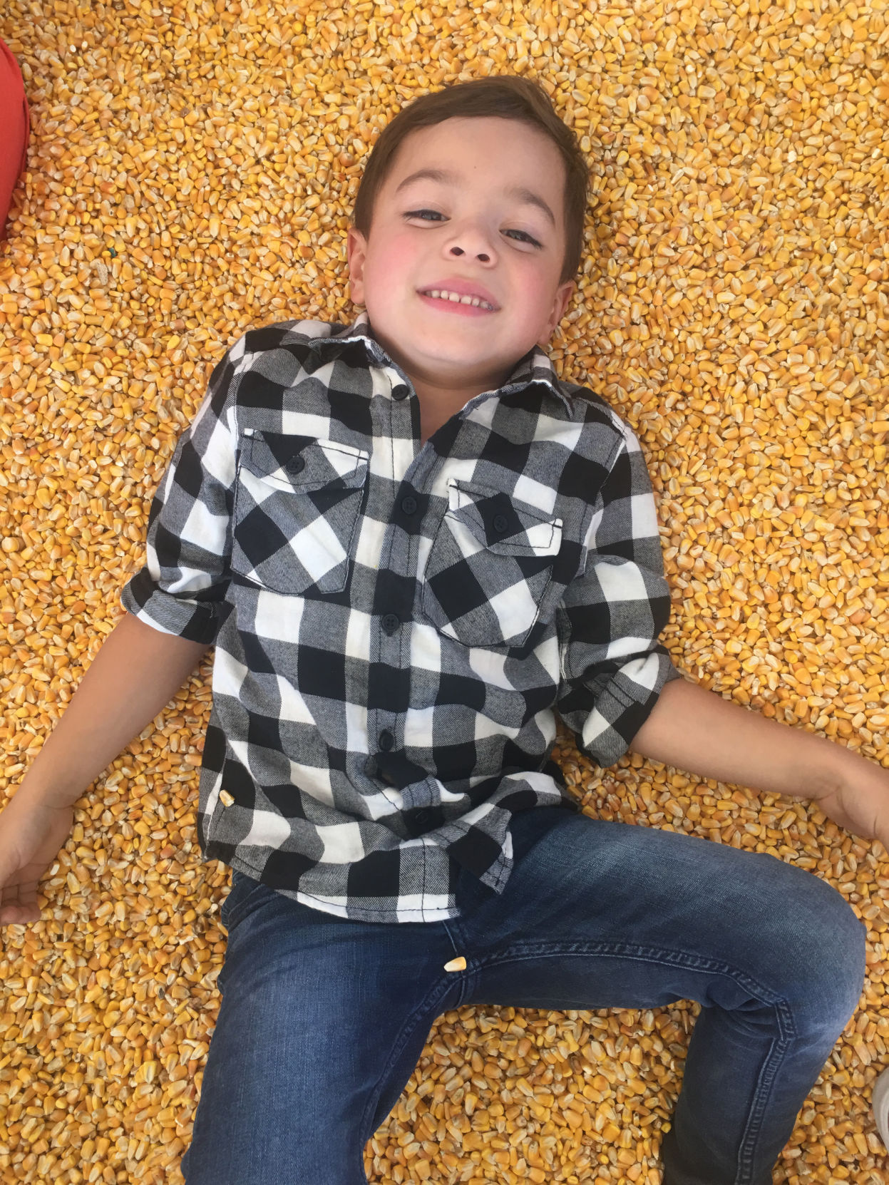 Picking Pumpkins 2017